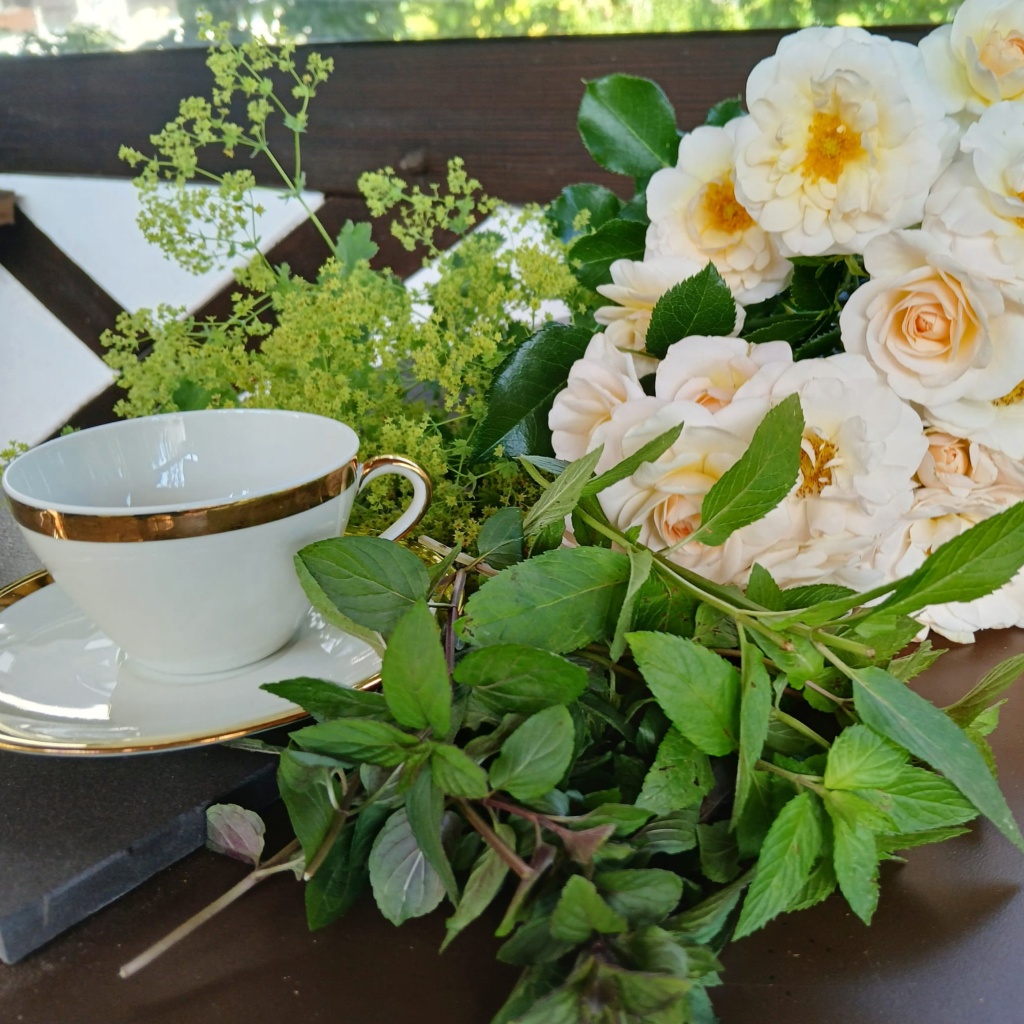 Kräutertees und Pflanzenöl